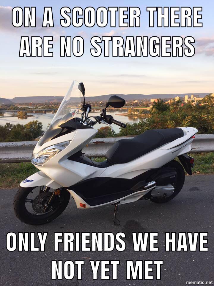 Scooter Friends.jpg