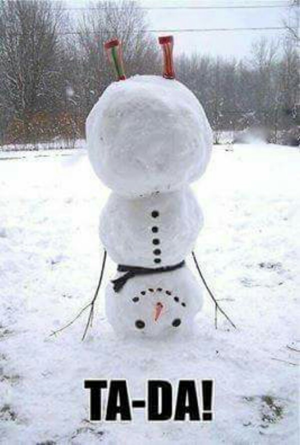 How to Build a Snowman.jpg
