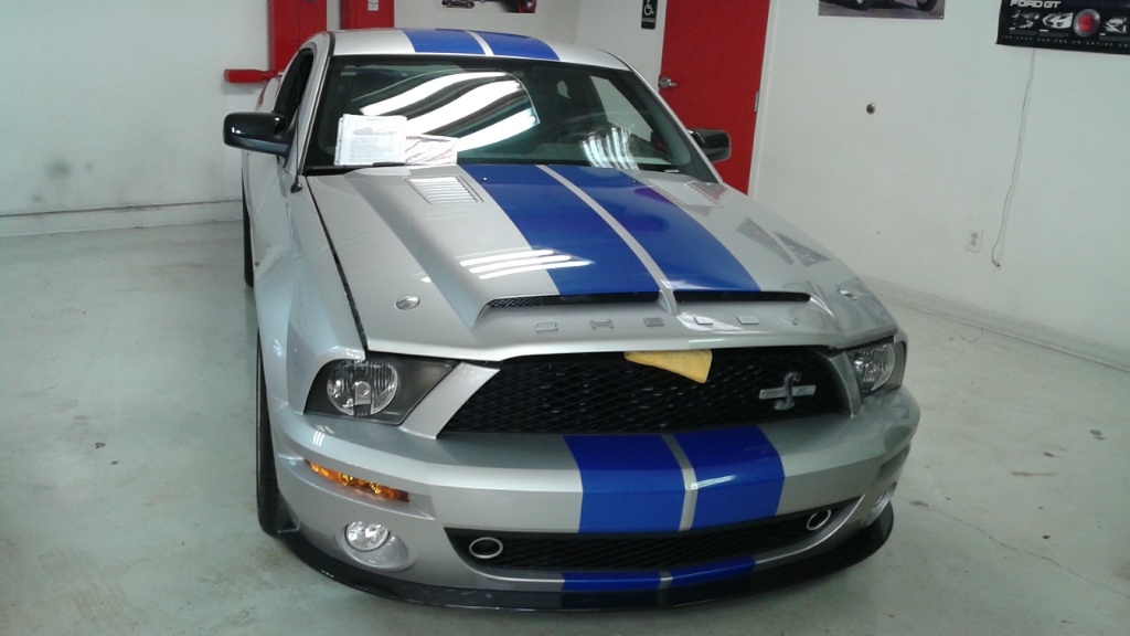 Shelby Mustang 2.jpg