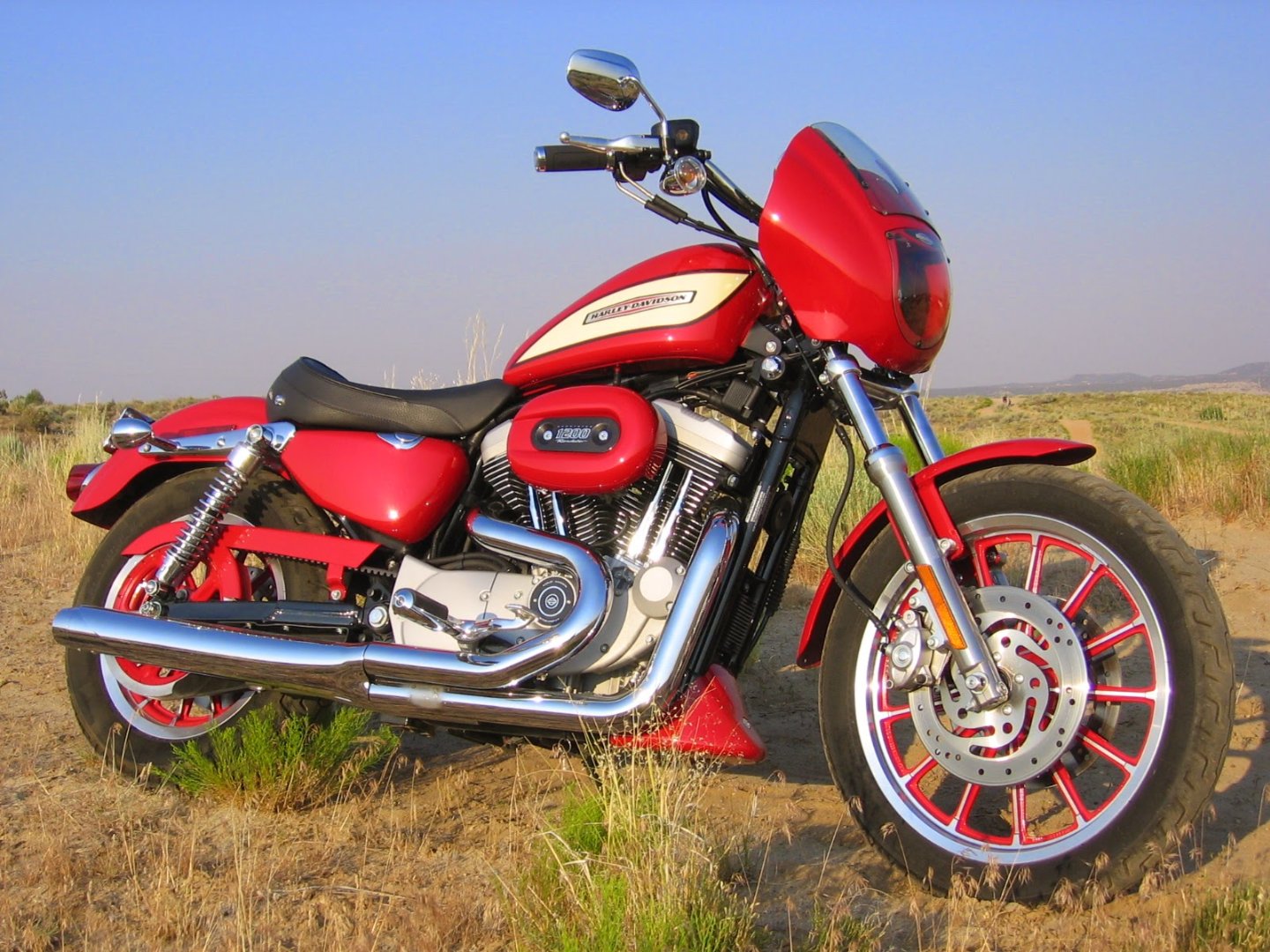 Xl1200R_16.jpg