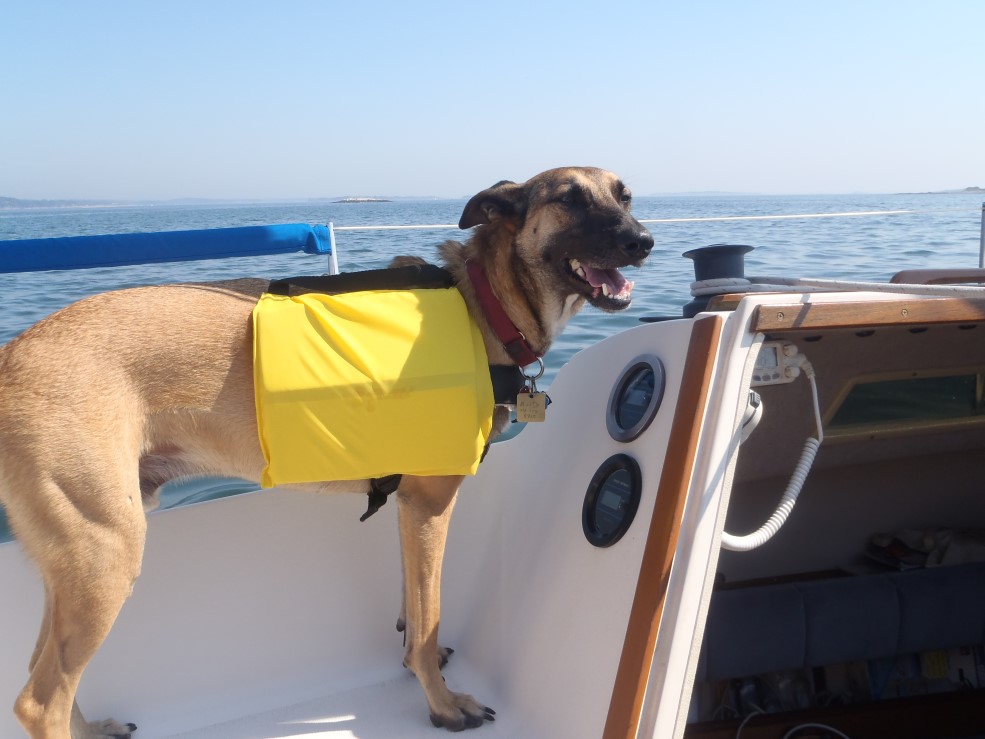 M'head neck and Rusty Sailing 025.jpg