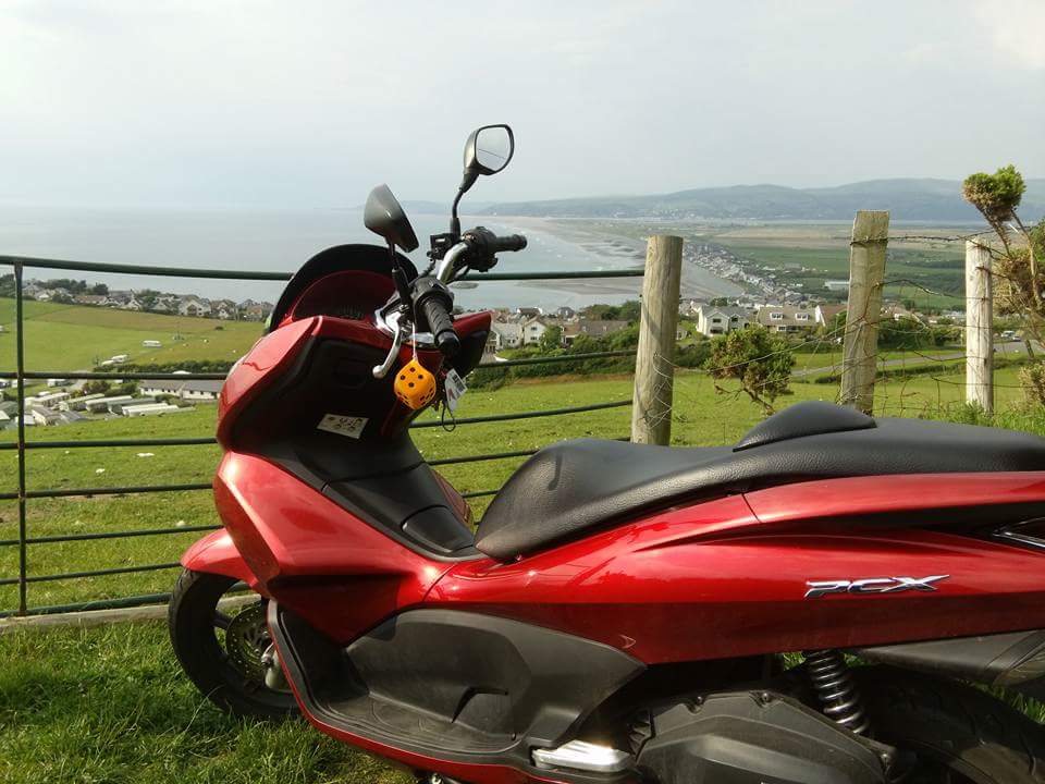 Hetty enjoying the view.