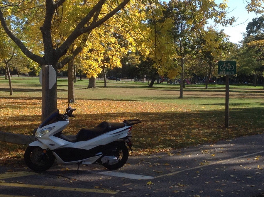 Posing in the Park