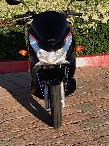 PCX4.jpg