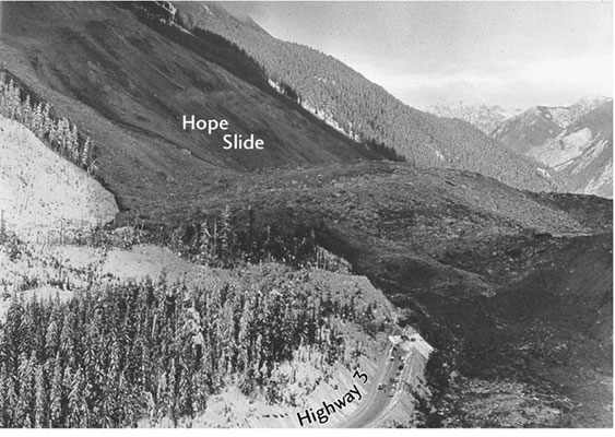 landslidehope.jpg