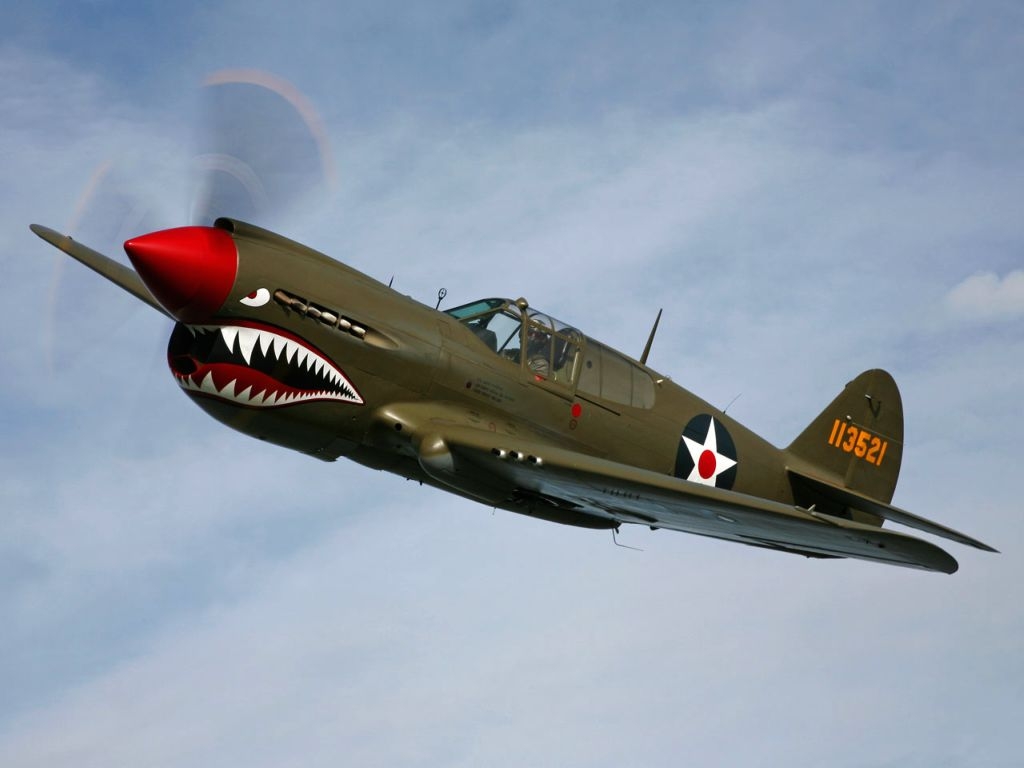 p-40.jpg