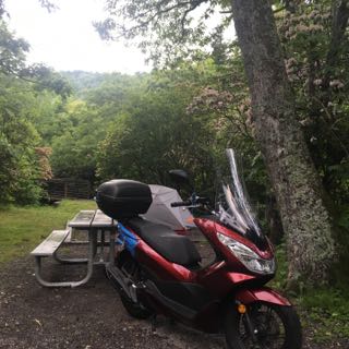 Mt Pisgah National Park campground on the BRP.