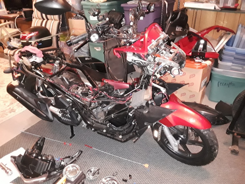 Pcx torn down-small.jpg