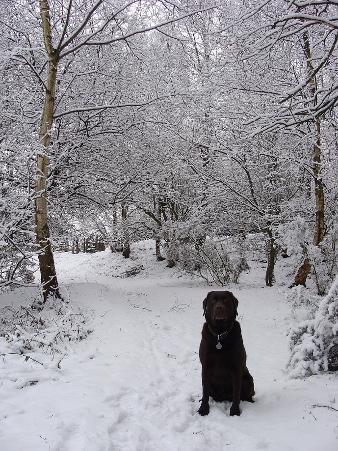 Looking a bit cold...