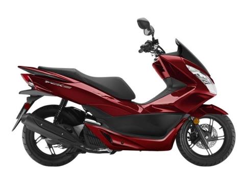 2016 Dark Red.jpg
