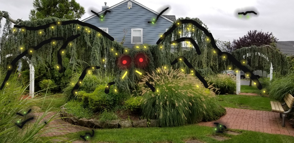10.28.18 After-Halloween Spider-pic 2.jpg