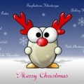 Merry Whatmas.jpg