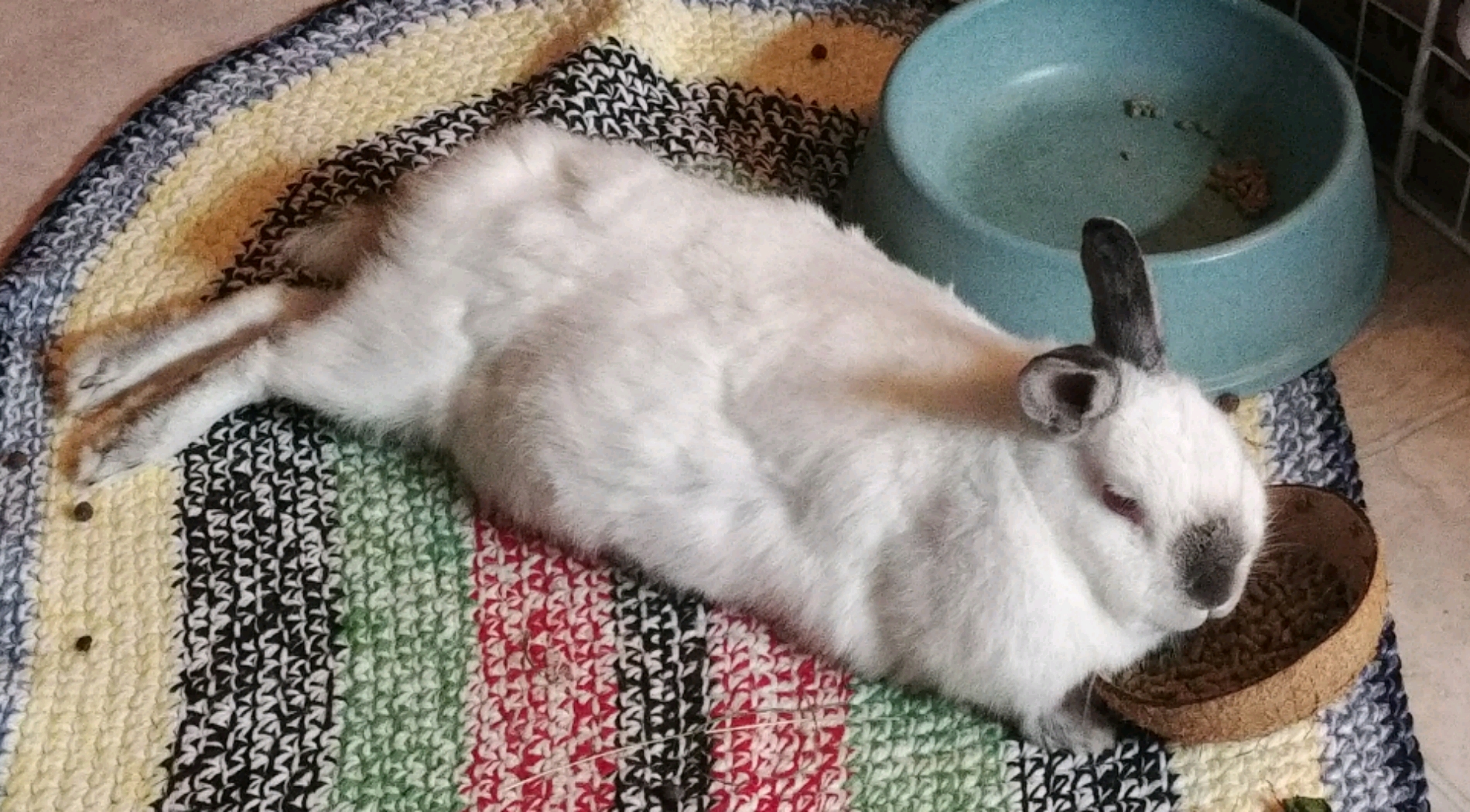 20190225_224718_crop_1900x1050.jpg