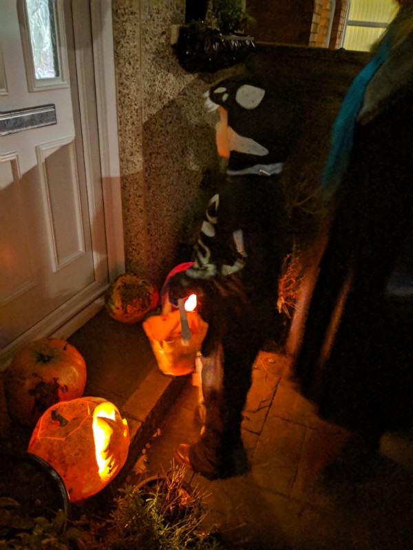 IMG_20191031_190259.jpg
