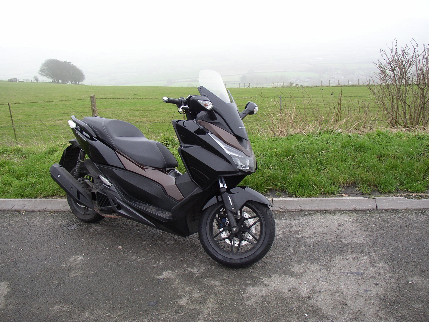 P1010006 (7).jpg
