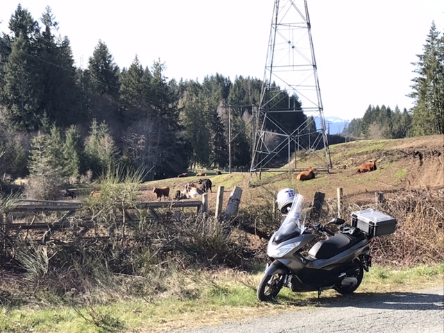 Duncan BC, Canada. The back country