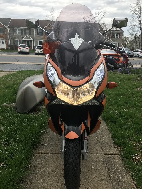 my own murder hornet