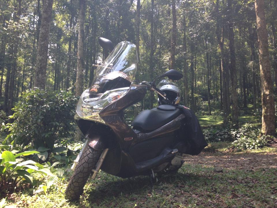 At Mount Halimun National Park