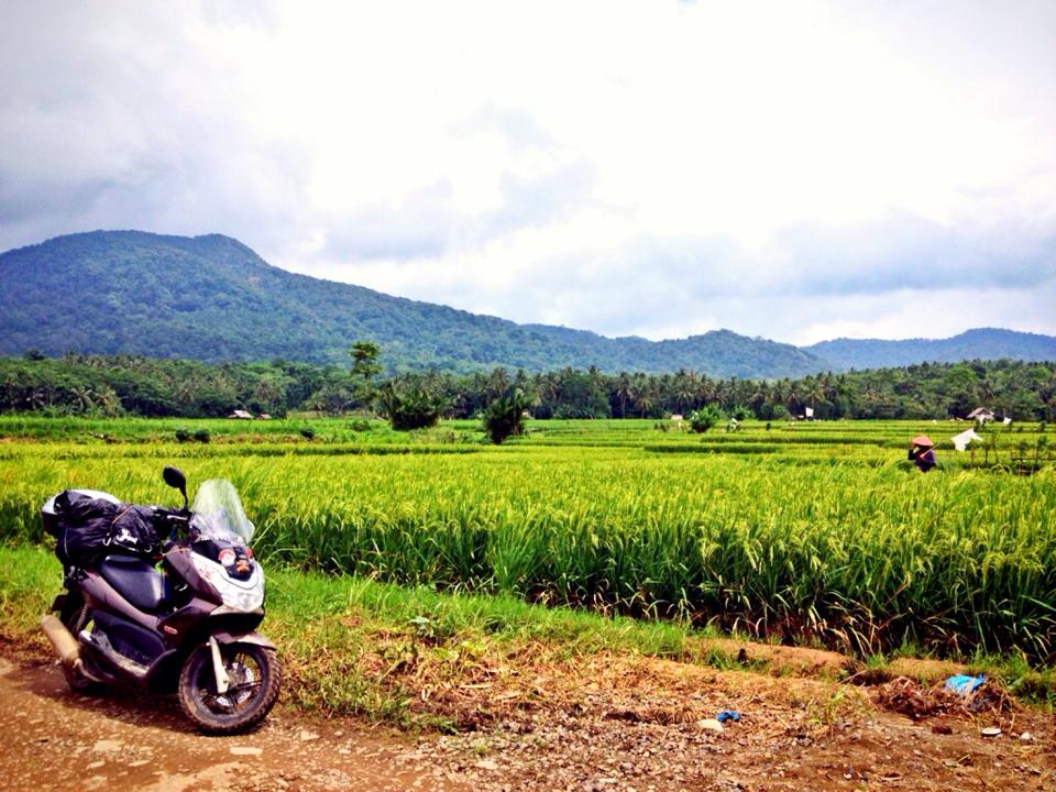 Another view of the Ujung Kulon National Park in West Java