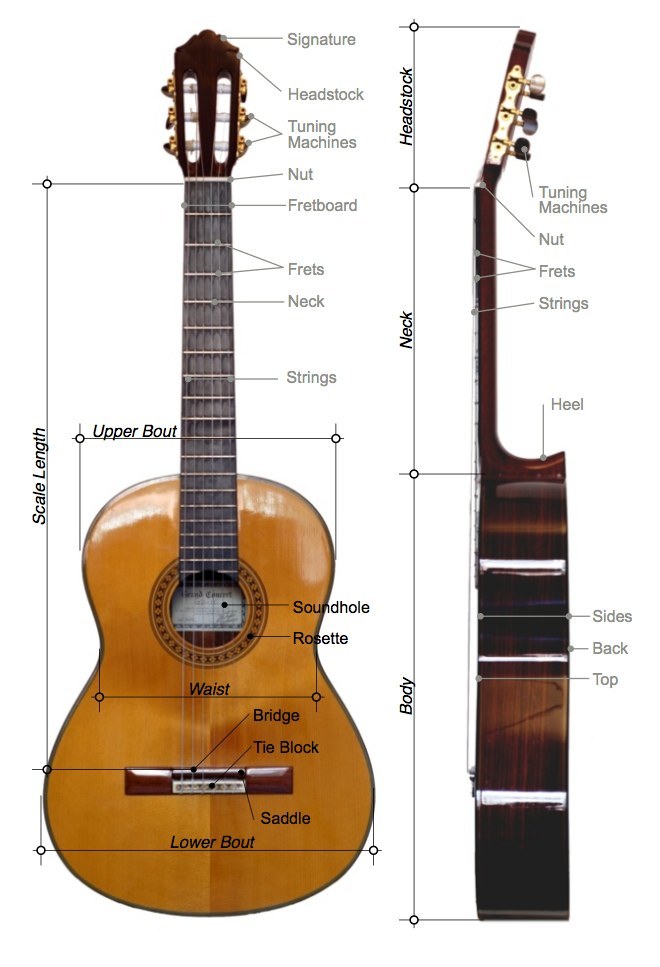 classical guitar named parts.jpg