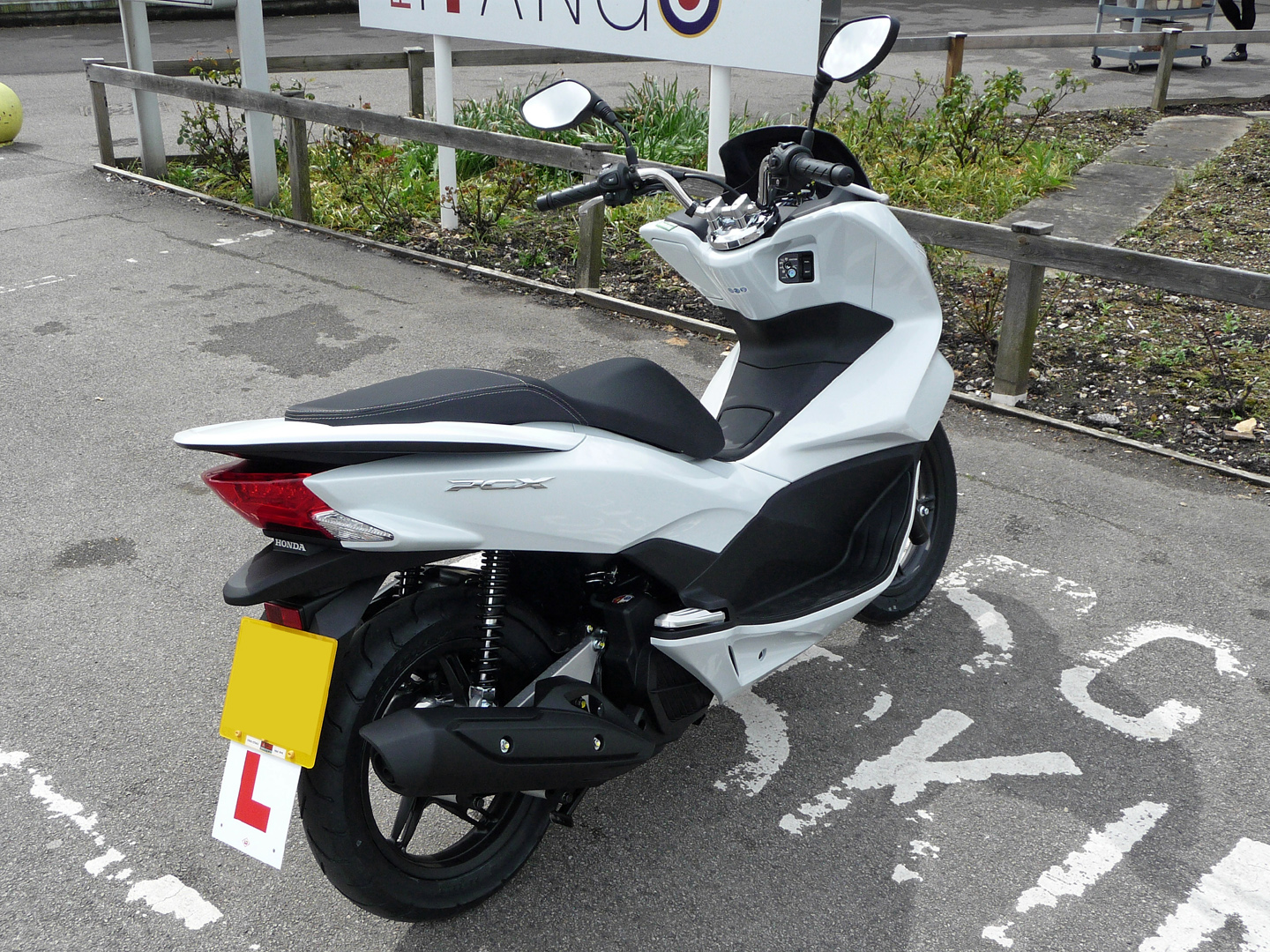 P1070671n.jpg