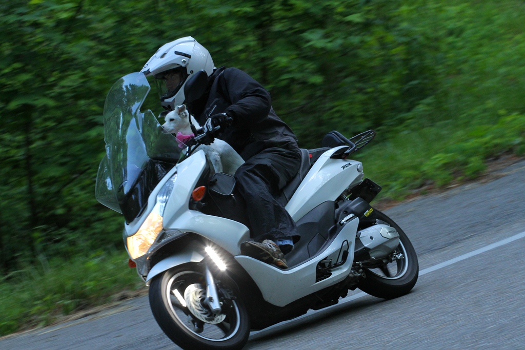 Sputnik riding-resize.jpg