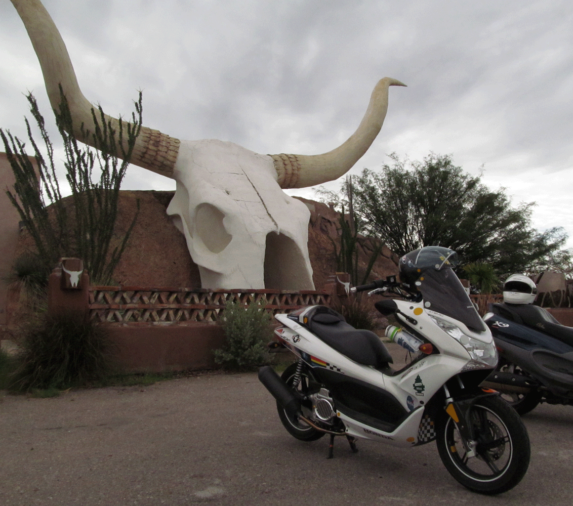 PCX-cowskull.gif