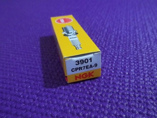 100_2598.JPG
