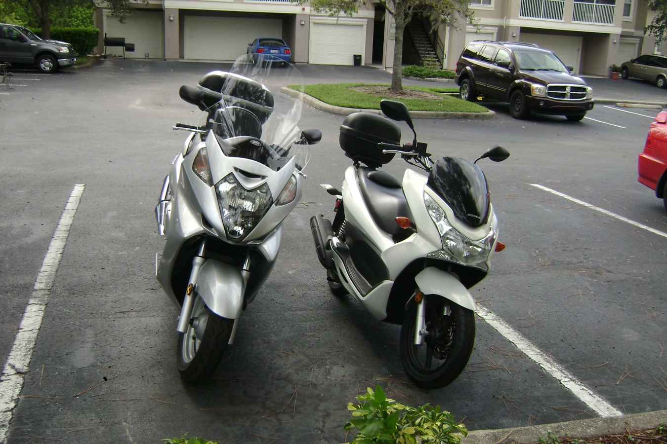 DSC00512.JPG