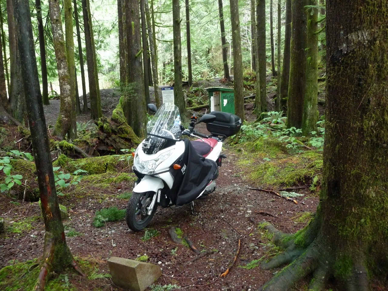 Lizard Lake campground