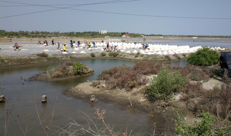 Working on the salt fields