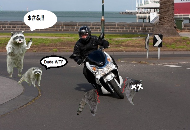 Timmys day out.jpg