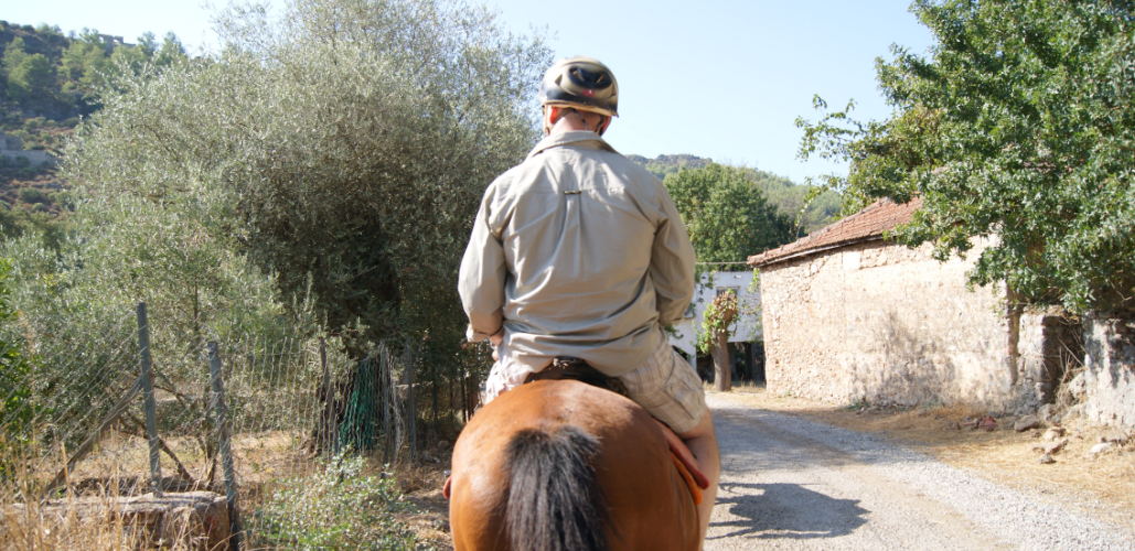 Riding one HP in Turkey.PNG