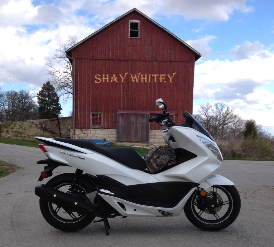 ShayWhitey.png