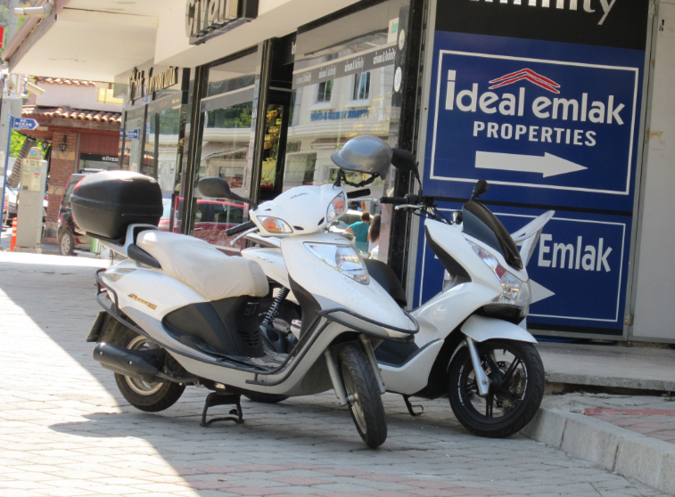 white scoots one with bars.PNG
