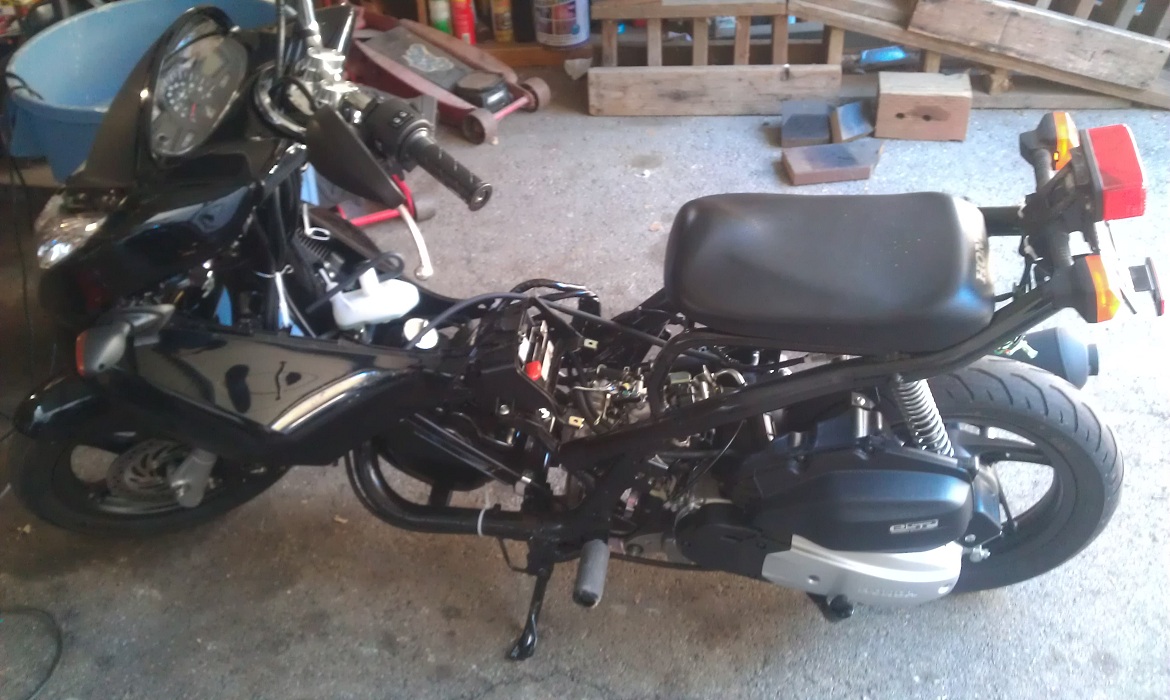 IMAG0294.jpg