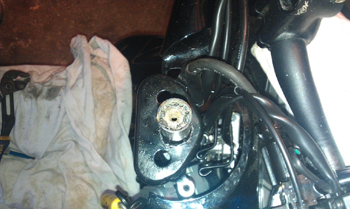 IMAG0343.jpg