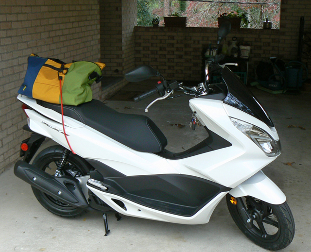 PCX1.jpg