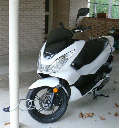 PCX2.jpg