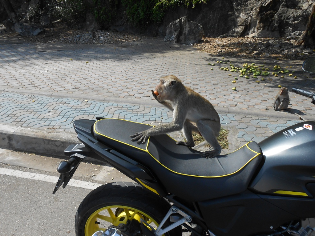 bike ride 10 jan 2016 059 - Copy.JPG