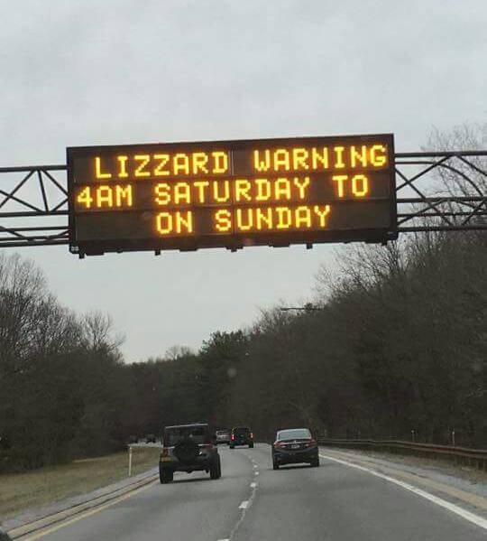 Lizzard Warning.jpg