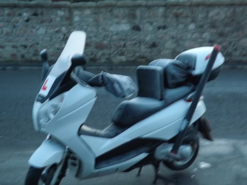 DSCF1324 (500x375).jpg