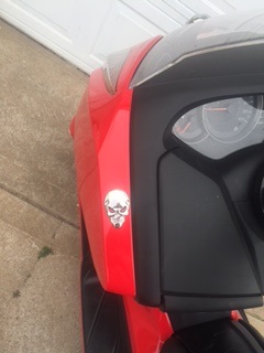 skull left.jpg