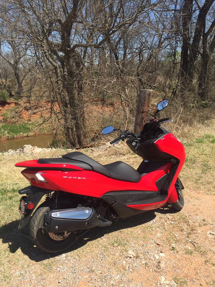 Scoot 2.jpg