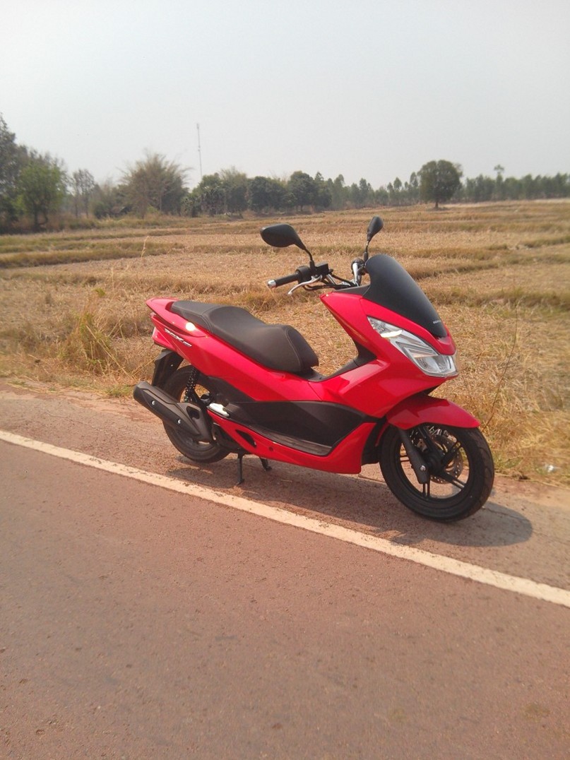 Out in the rice fields