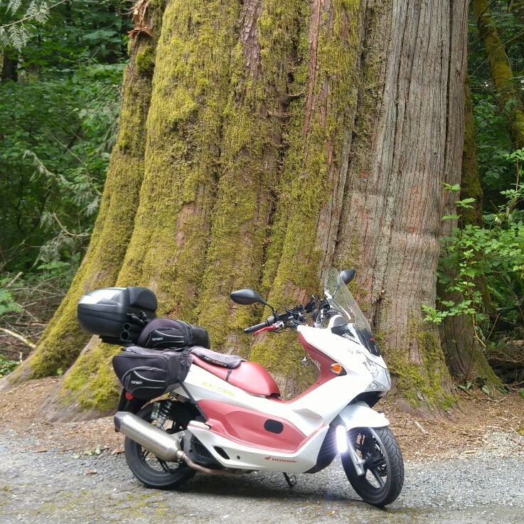 20160520_121848_resized~3.jpg