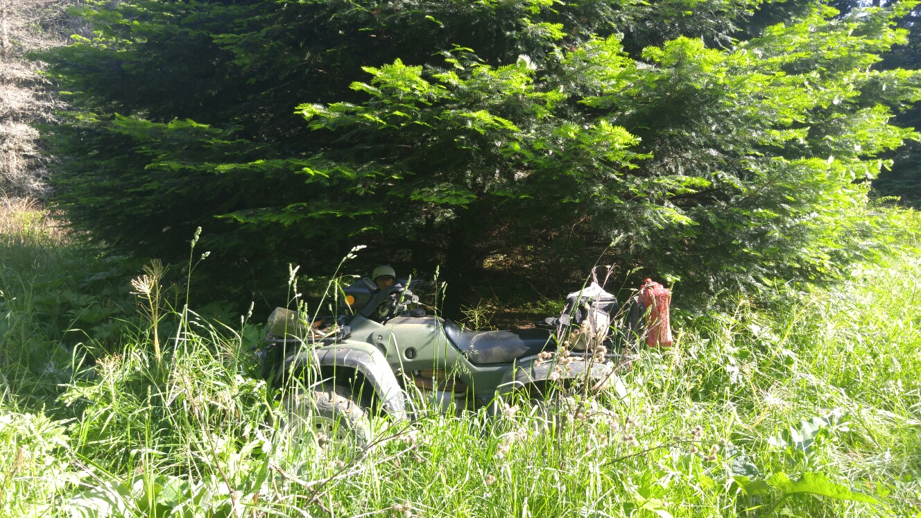 20160530_175140_resized.jpg