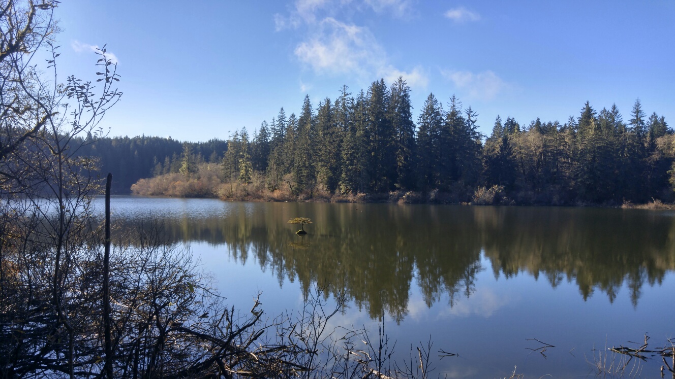 20151115_111540_HDR_resized.jpg